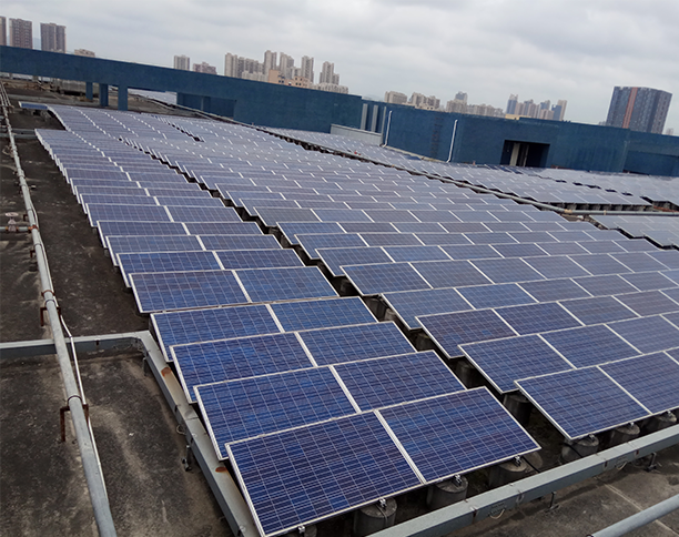 Risen Solar Panels TITAN prec 132 Monofacial Module 655-675W