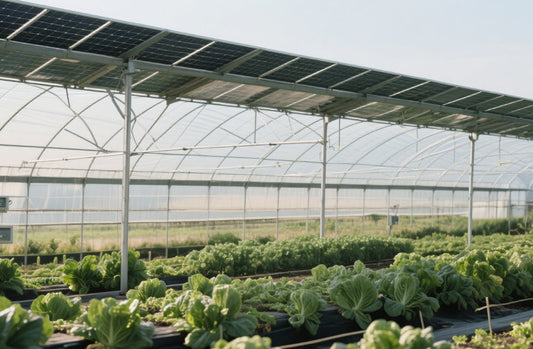 Photovoltaic (PV) brackets play a crucial role in the deployment of solar energy systems